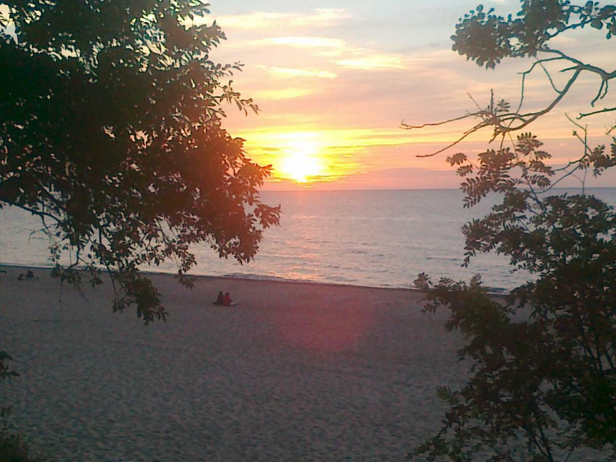 Pepasowka *