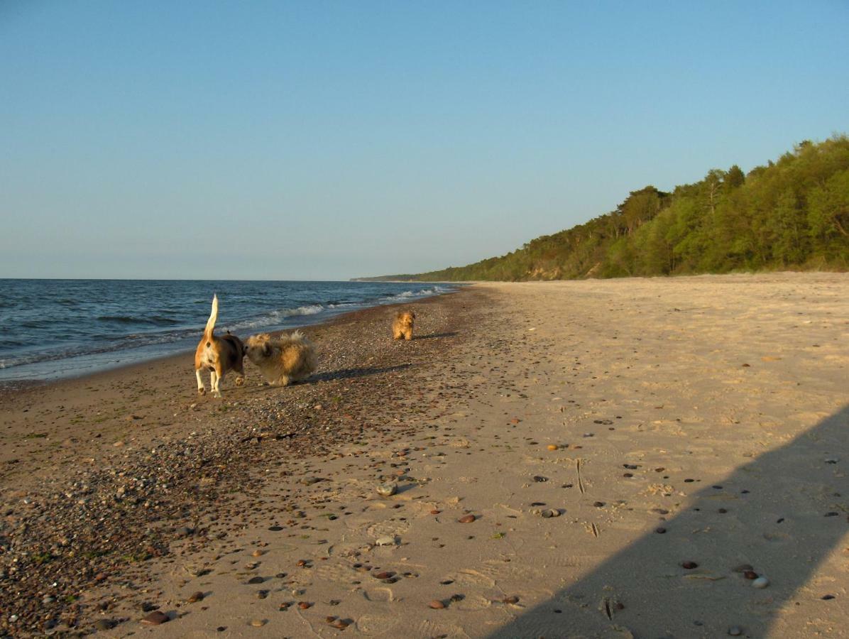 Pepasowka * Łukęcin